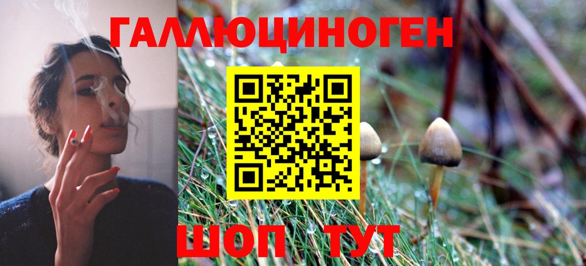 магазин продажи наркотиков  Псилоцибиновые грибы ЛСД  Вход с VPN  Севастополь 